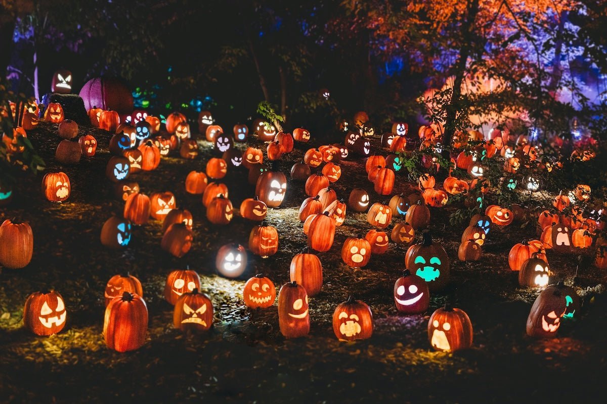 The Best Group Halloween Costumes to Wear in 2025 - Thigh Society