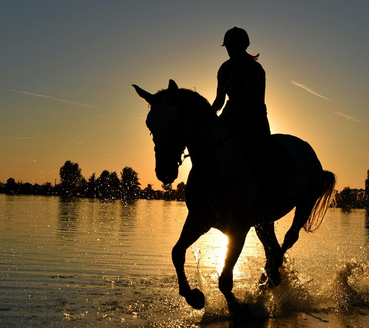 The Perfect Summer Equestrian Outfit: Styling Tips for Hot Days in the Saddle - Thigh Society